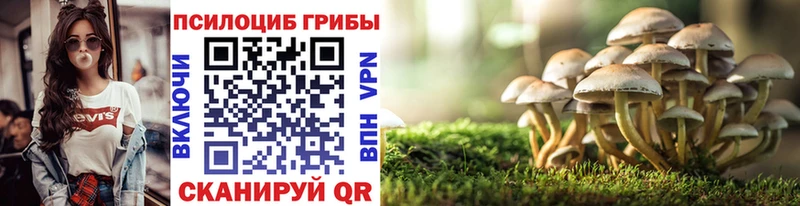 Купить закладки  Сафоново  Галлюциногенные грибы MAGIC MUSHROOMS 